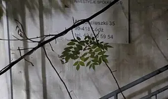 Opuszczone biuro / kancelaria