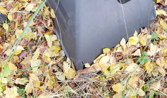 Ruina domu i szopa