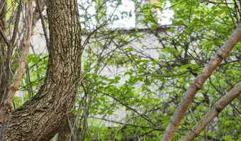 Budynek - photo 2/4