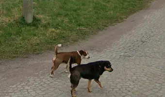 Fabryka wyrobów betonowych.