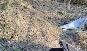 Opuszczone gospodarstwo