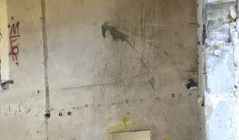 Opuszczone przedsiębiorstwo p r o d s a n