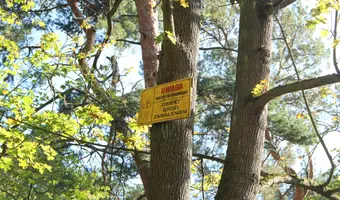 Sanatorium Dziecięce Olin, Otwock