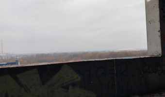 Czyżyński szkieletor