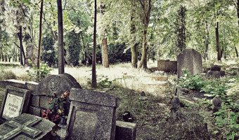 Opuszczony cmentarz na samotnej