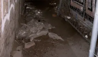 Dom Asystenta Uniwersytetu Medycznego, Gdańsk