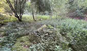 Ruiny opuszczonego domu