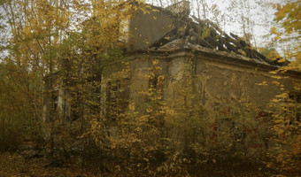 Spalony dom