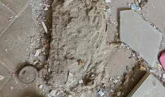 Opuszczone przedsiębiorstwo p r o d s a n