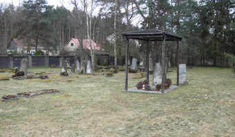 Stary cmentarz żydowski Niepołomice,