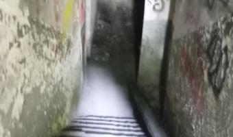 Zakład dla nerwowo i psychicznie chorych Żydów - zofiówka