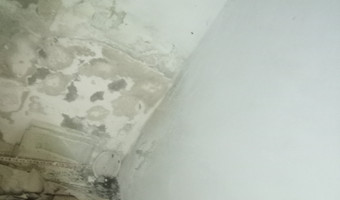 Dawna Villa Heinrichslust,