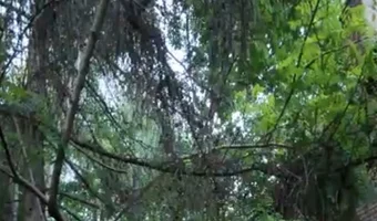 Budynek po byłej kopalni