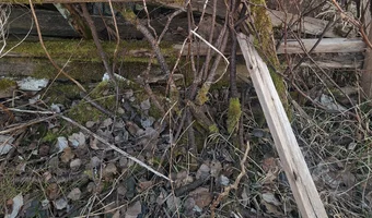 Opuszczony domek działkowy - zdjęcie 4/4