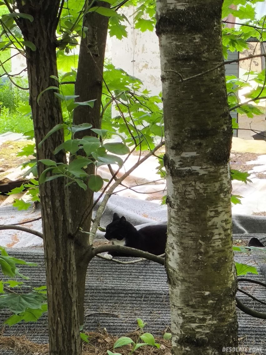 Opuszczona nastawnia kolejowa