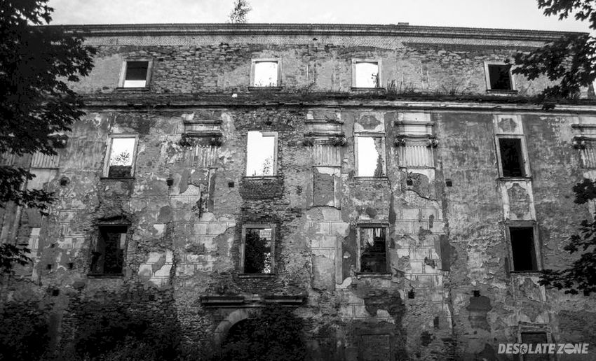 Ruiny pałacu, wilkanów