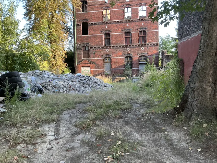 Dwie opuszczone kamienice - zdjęcie 1/4