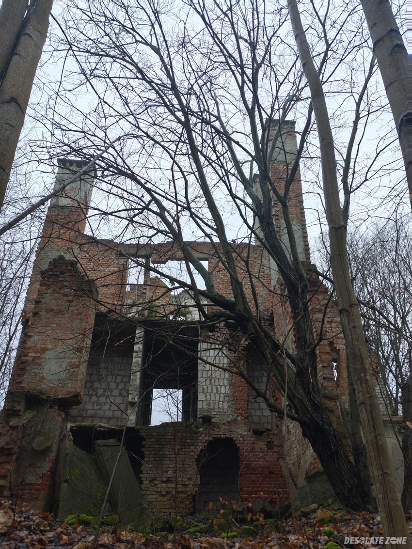 Ruiny pałacu z x v i i i wieku