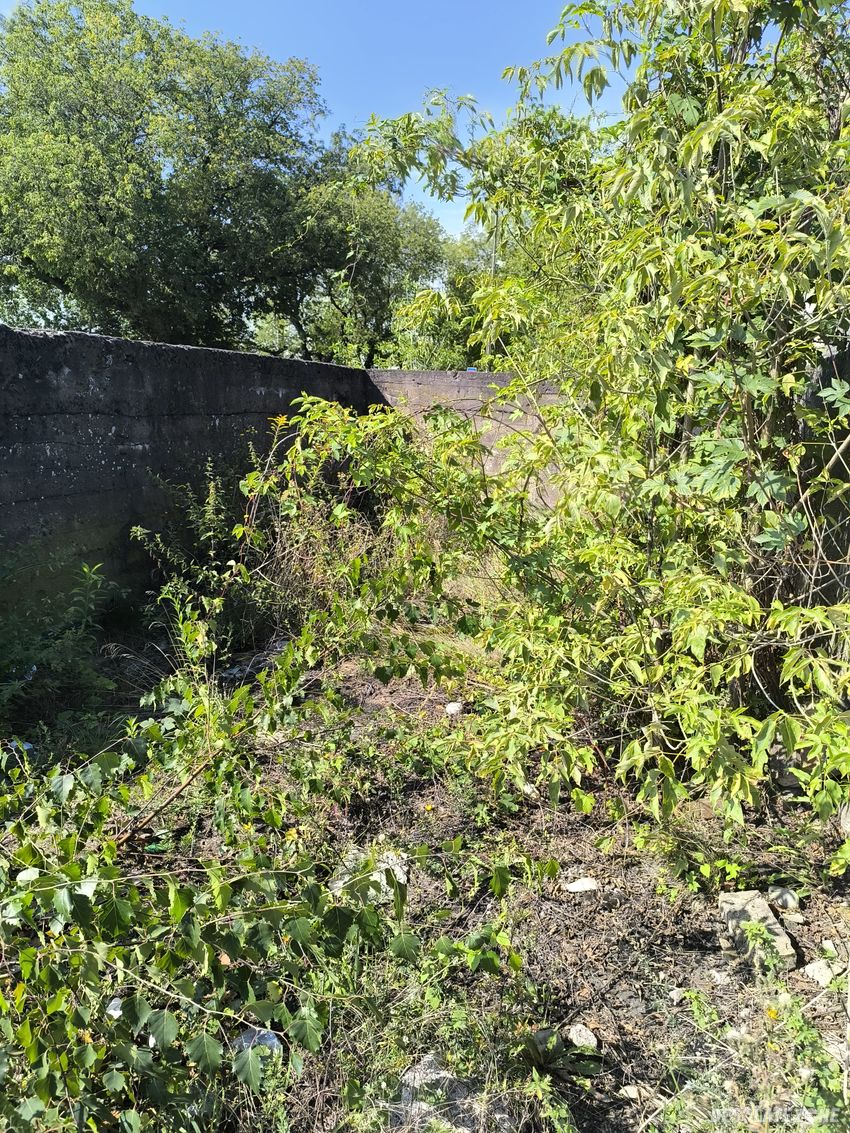 Opuszczone kamienice.