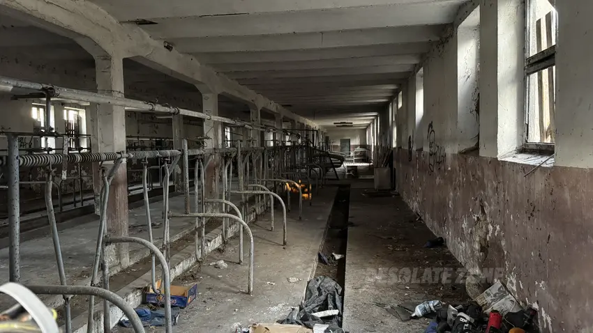 I n s t y t u t h o d o w l i b y dŁ a, b r w i nÓ w - photo 1/4