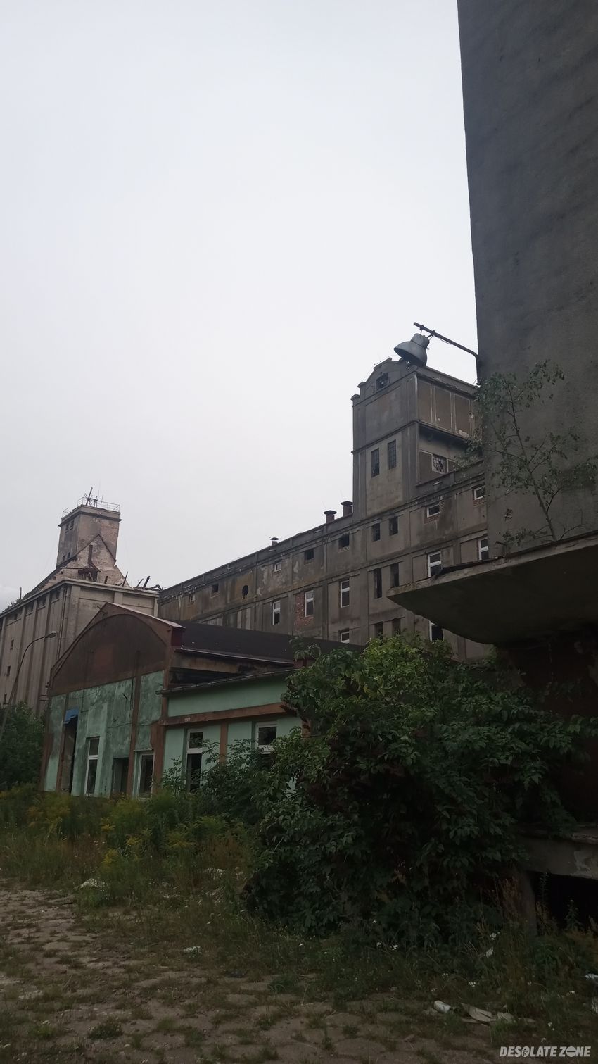 Zakłady młynarskie