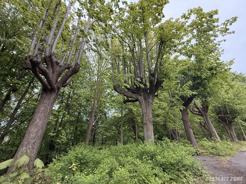 Restauracja górski zamek, sopot kamienny potok