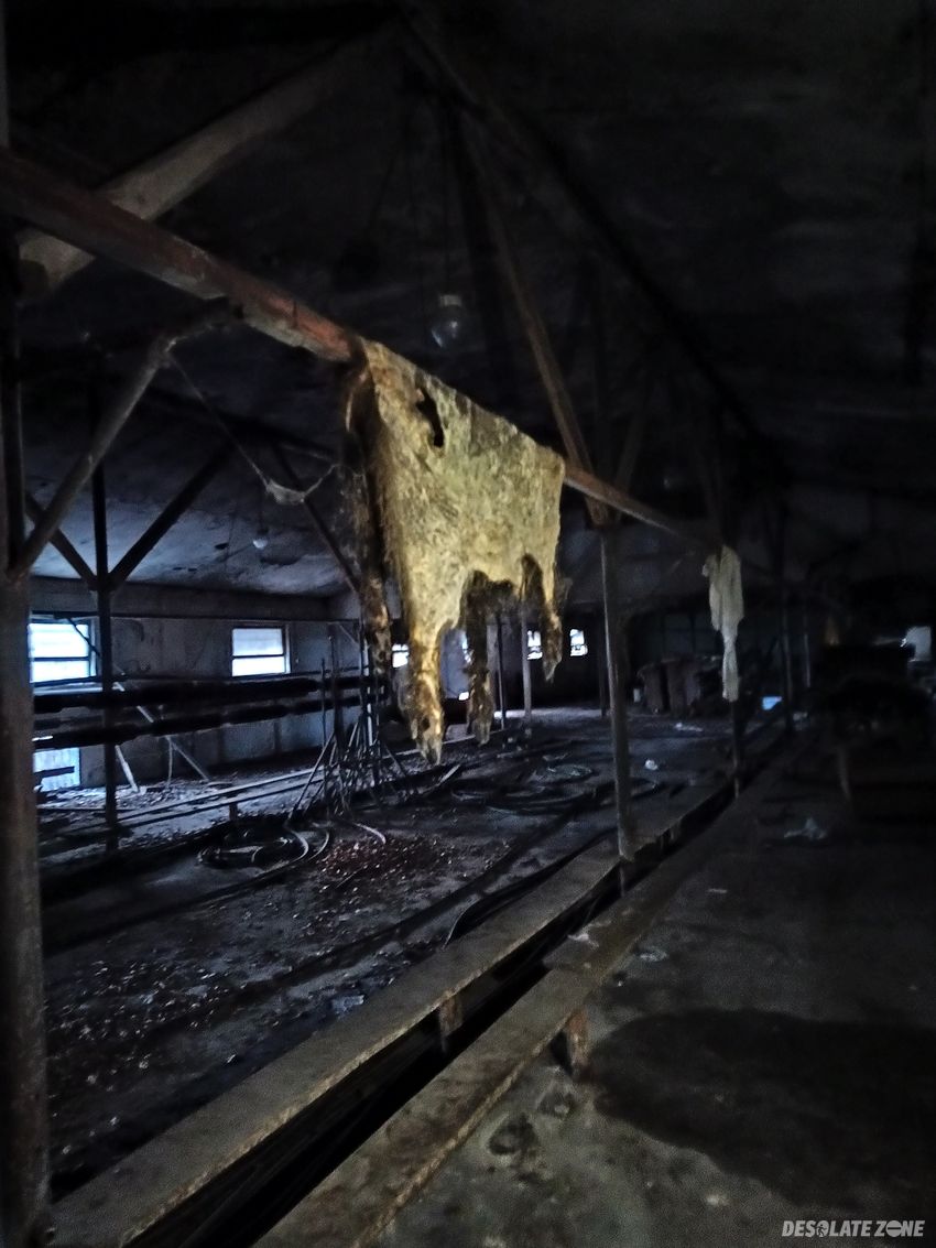 Opuszczone gospodarstwo i spalony dom sady opolskie