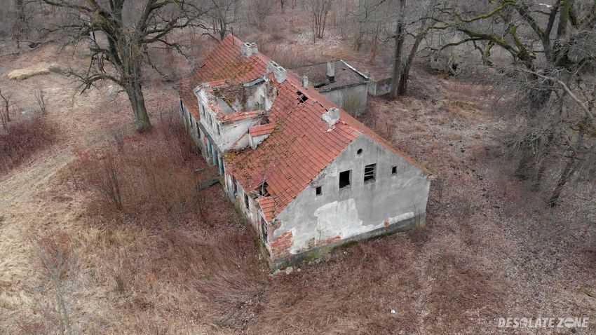 Dwòr w wistkach kròlewskich