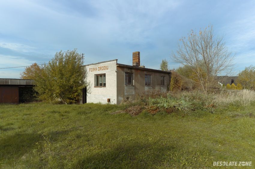 Ferma kurczaków