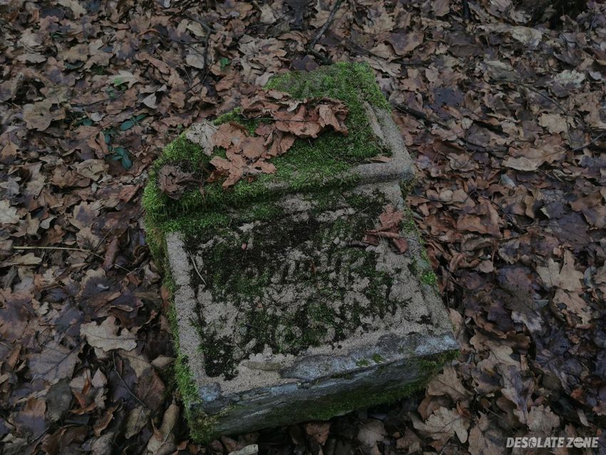 Zabytkowy cmentarz z przełomu x i x- x x wieku