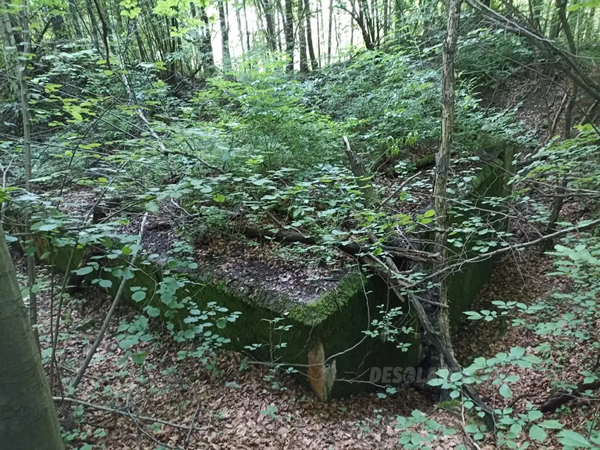 Stellung b1 - stützpunkt turów, przymiłowice - photo 1/4