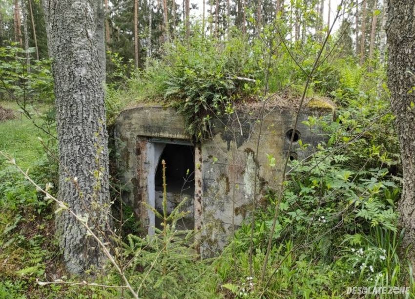 Opuszczone bunkry- trójkąt lidzbarski