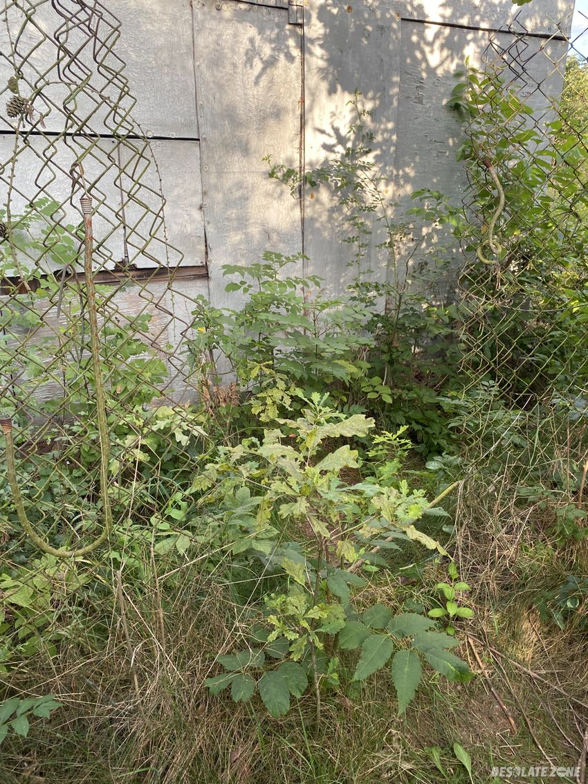 Opuszczone gospodarstwo