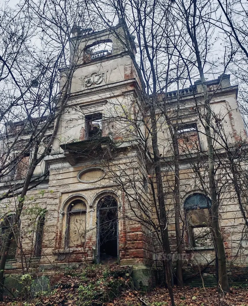 Ruiny pałacu w stryjowie - photo 1/1