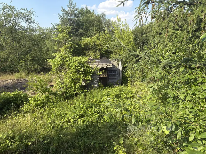Opuszczone kurniki / dawna ferma drobiu - zdjęcie 1/4