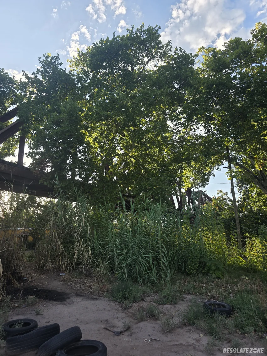 Opuszczony most kolejowy