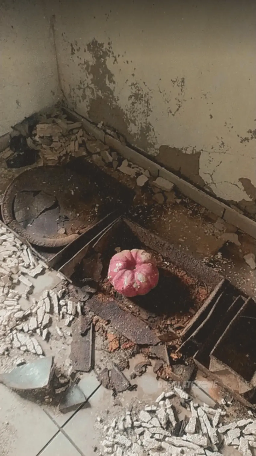 Sala weselna ' bagatela' - photo 1/103