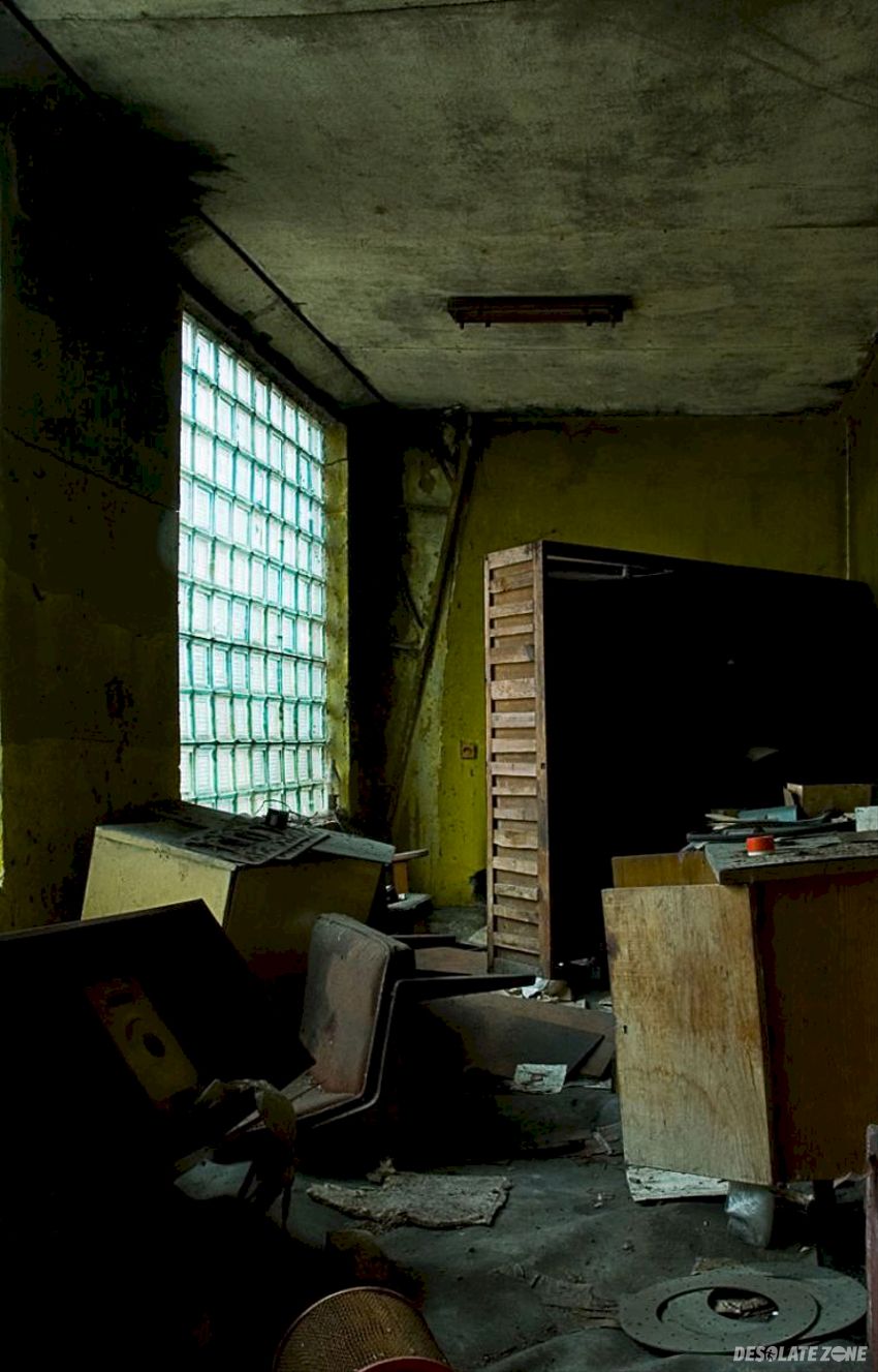 Zgniły s k r, Żółwin