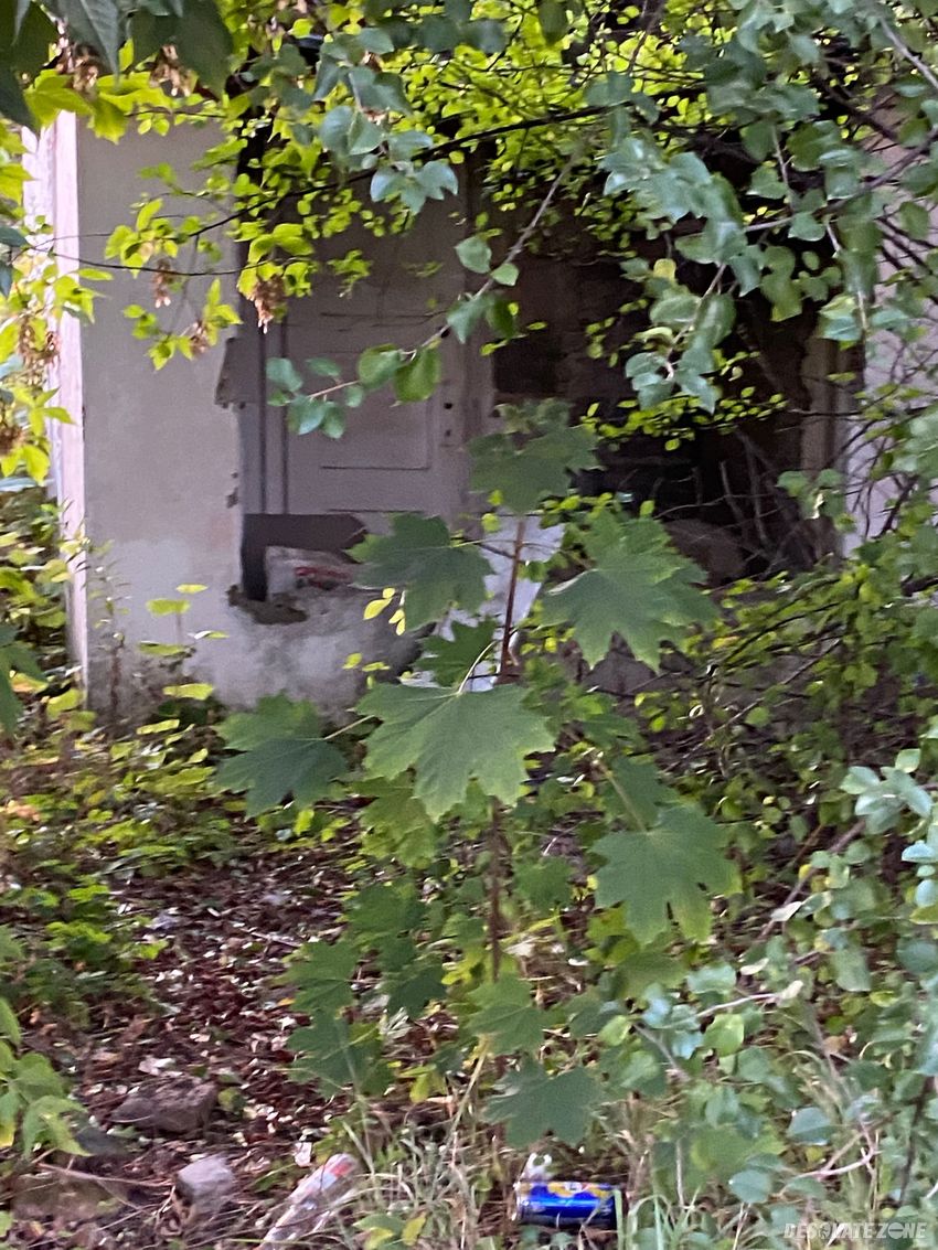 Opuszczone działki r o d