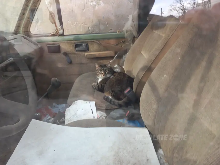 Opuszczone samochód wojskowa - zdjęcie 1/4