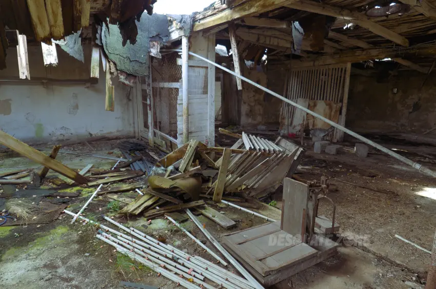 Ferma kurczaków - photo 1/4