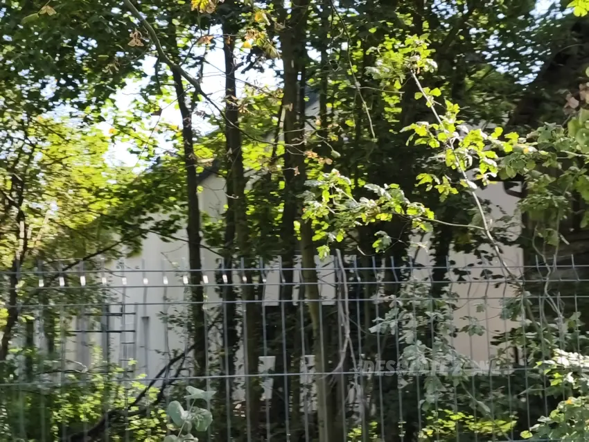 Stary młyn wodny, Kotliny - photo 1/16