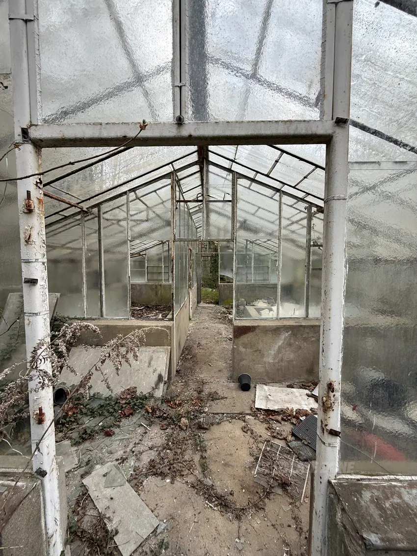 Opuszczone szklarnie - zdjęcie 1/4