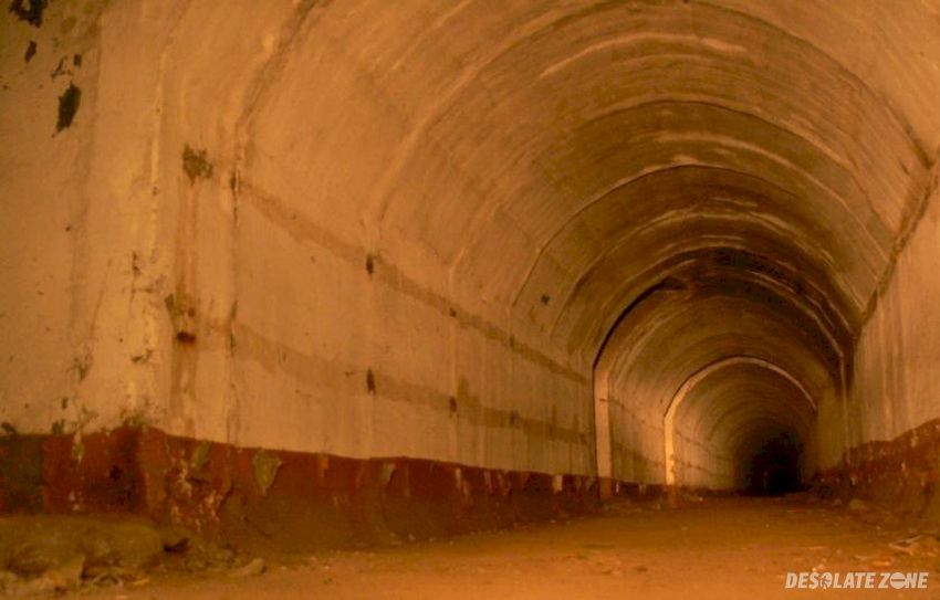 Bunkier wilkocin, wikocin