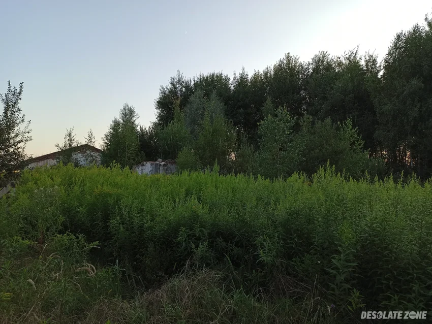 Zabudowania po p g rze., bukowina