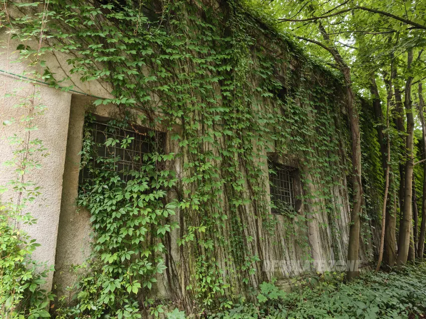 Związek żeglarski - photo 1/57