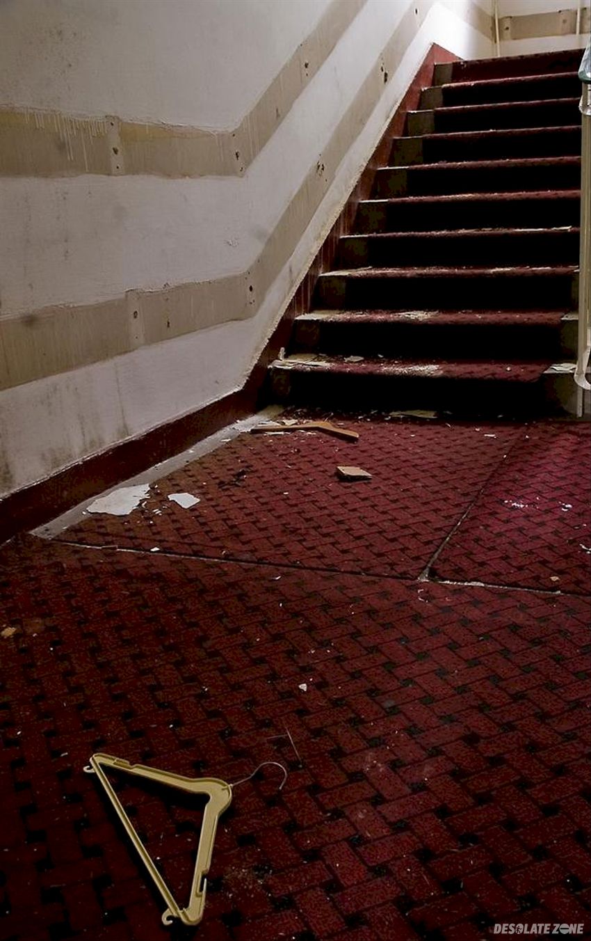 F w p Ż u b r, s p aŁ a