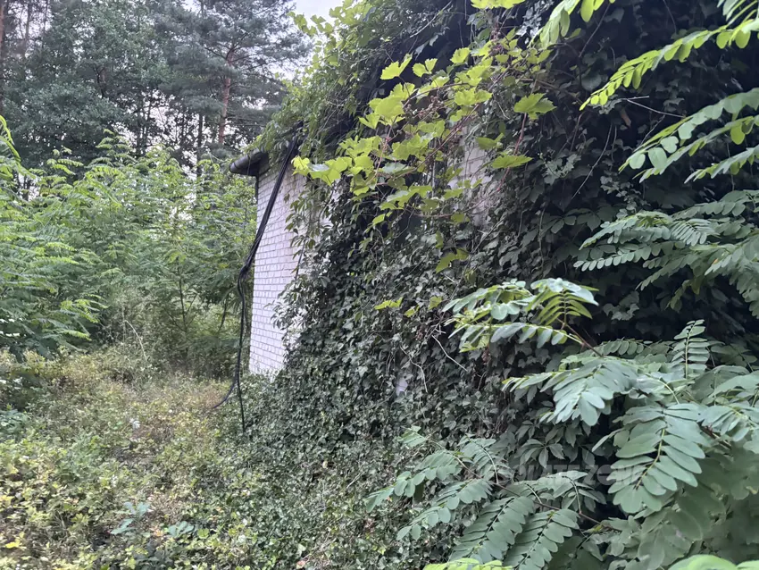 Mały ceglany domek - zdjęcie 1/6