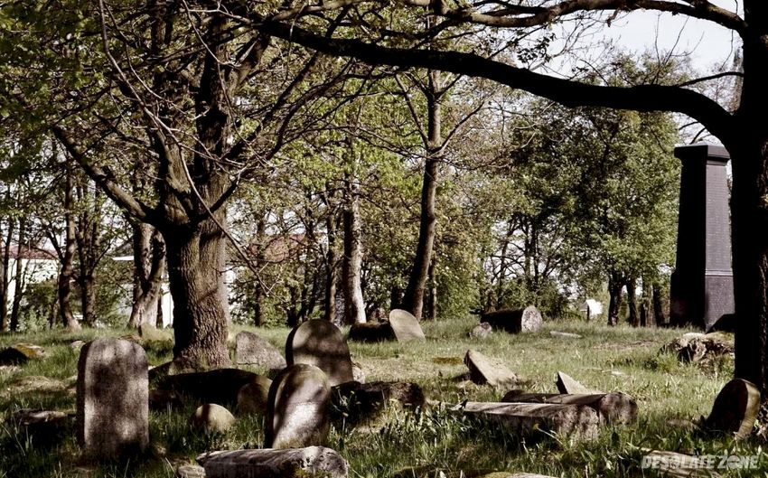 Cmentarz żydowski, białystok