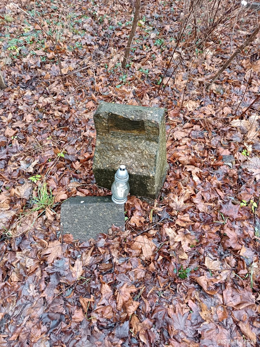 Opuszczony cmentarzyk rodziny belianów/ grzymałów